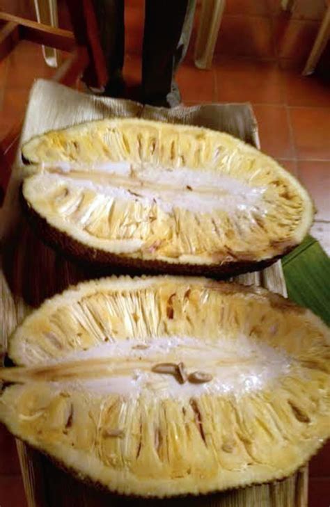 Seedless jackfruit catches the fancy of coastal Karnataka