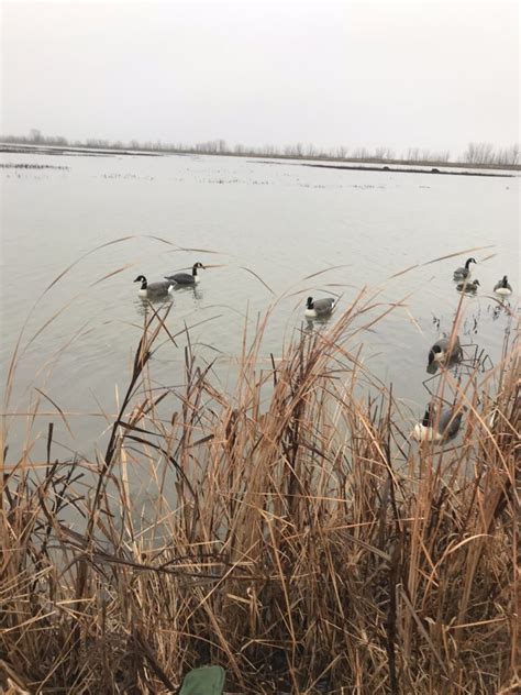 The magic of motion in your waterfowl decoy spread - Stream and Timber