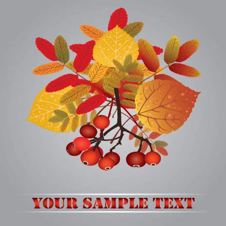 Fall leaves vector background Vectors graphic art designs in editable .ai .eps .svg format free ...