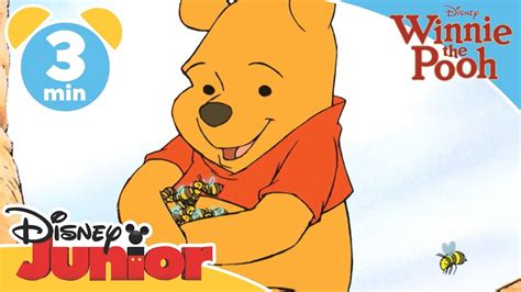 Winnie The Pooh Bees