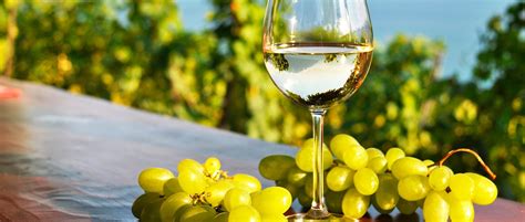 Tipos de vinos blancos en España - El Coto de Rioja