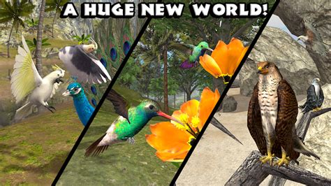 APK MANIA™ Full » Ultimate Bird Simulator v1.2 APK