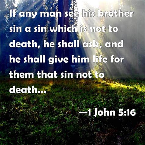 1 John 5:16 If any man see his brother sin a sin which is not to death ...