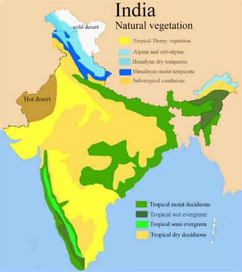 Natural Vegetation in India - Study Page