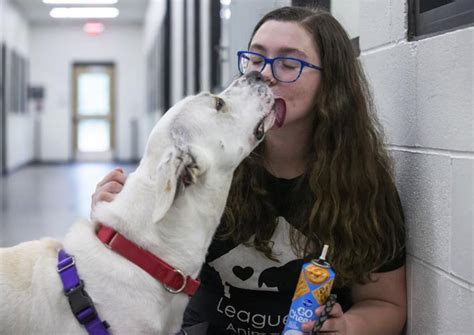 League City animal shelter honored for its no-kill success | Local News | The Daily News