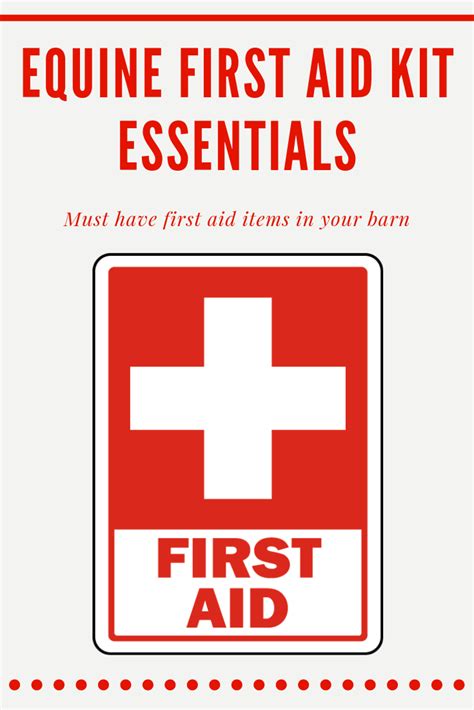 Equine First Aid Kit Essentials – Bluegrass Animal Products