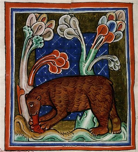 Medieval Bestiary, Bodley 764. Bear licks it's cub into shape after being born shapeless ...