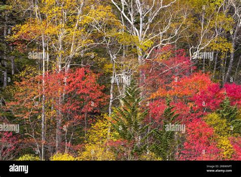 Mikuni Pass in Autumn Stock Photo - Alamy