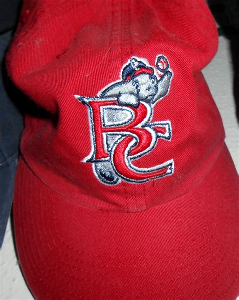 Brevard County Manatees Would Swim Inland Under Winter Park Proposal | Ballparks Beaches and Beyond