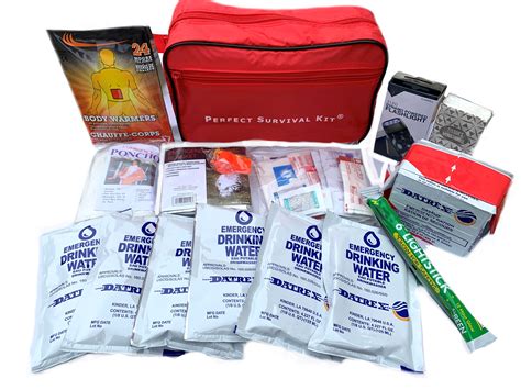 Small Perfect Survival Kit, Emergency, Earthquake Kit, Auto, Home - Walmart.com