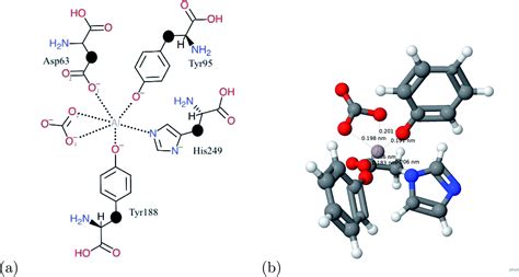 A first-principles study on potential chelation agents and indicators of Alzheimer's disease ...