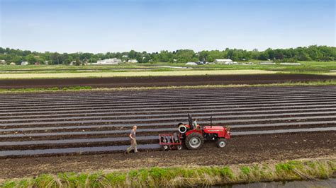 Can Organic Farming Grow in New York’s Fertile Black Dirt Region ...