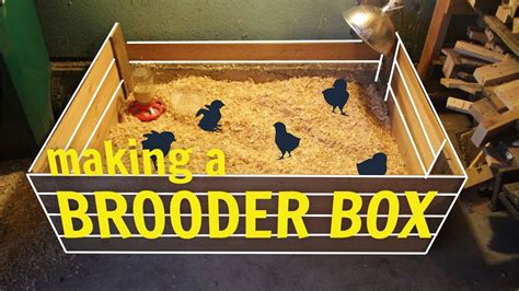 Making a Brooder Box - YouTube