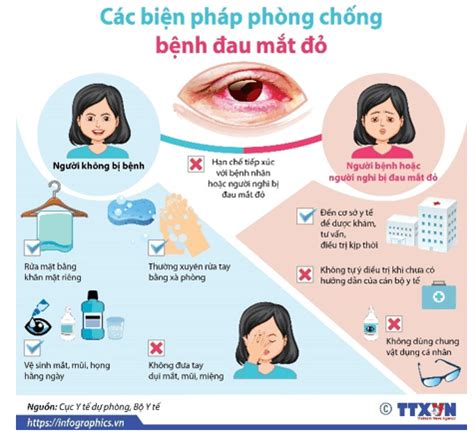 Giải KHTN 8 trang 165 (Cánh Diều)