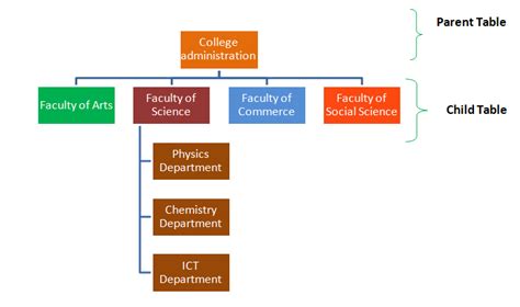 What is hierarchical database - Online Open Academy