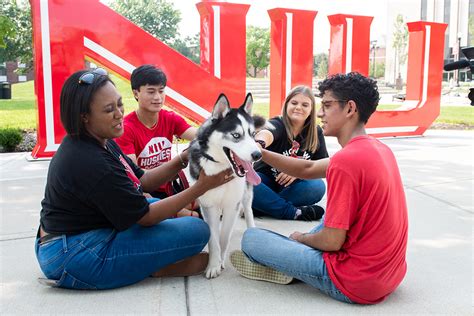 NIU Alumni Association