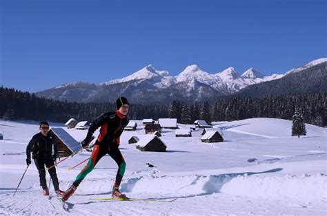 The best cross-country skiing terrain is the Pokljuka plateau