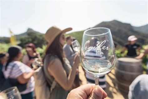 Malibu Wine Safari Tour | Travel & Fun | Laura Lily