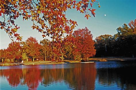 Inside Crowley's Ridge State Park | Arkansas State Parks