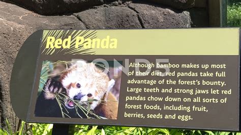 Zoo Exhibit Sign