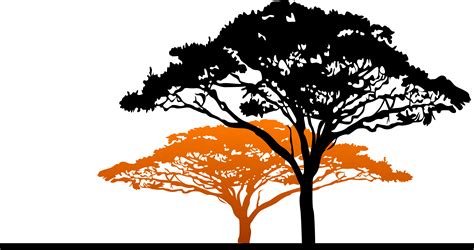 Free African Tree Png Download Free African Tree Png Png Images Free ...