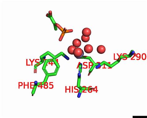 Manganese in PDB 4gnl: Structure of Rat Cytosolic Pepck LD_2G in Complex with Pep and Gdp