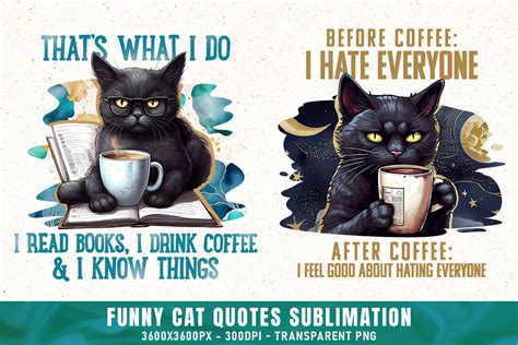 Funny Black Cat Quotes PNG Bundle Graphic by WIPSART · Creative Fabrica