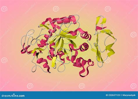 Crystal Structure of Human Pancreatic Alpha-amylase in Complex with the ...