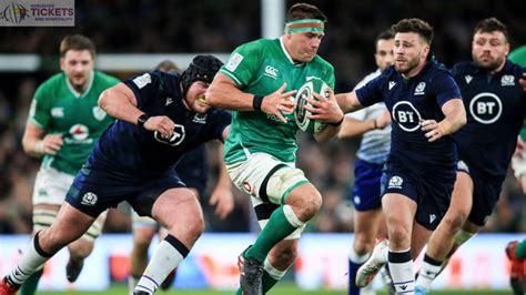 Ireland Vs Scotland: Ireland in exceptional form ahead of Rugby World ...