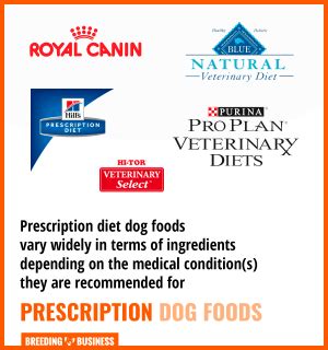 9 Best Prescription Dog Foods – Plus Top 5 Vet-Recommended Formulas