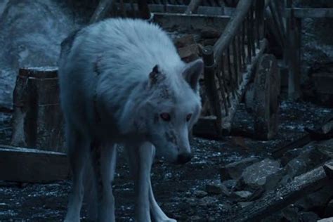 This Is the Reason Why Jon Snow Abandoned Ghost