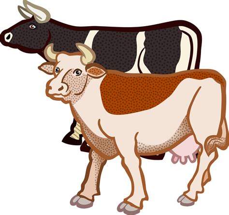 Animal Cow Farm Tier Png Image Clipart - Full Size Clipart (#2558297) - PinClipart