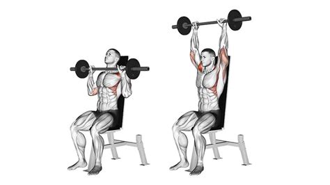 8 Best Shoulder Exercises & Workout (2021) - The Trend Spotter