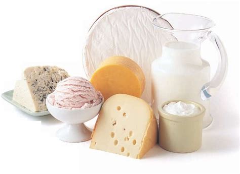 Dairy Foods