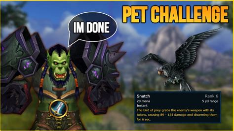 Bird pet PvP action 🦅 - Survival Hunter PvP WotLK Classic - YouTube