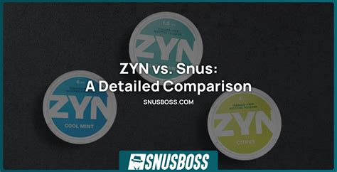 ZYN vs. Snus—Flavor, Ingredients, and Health Risks Compared - Snusboss