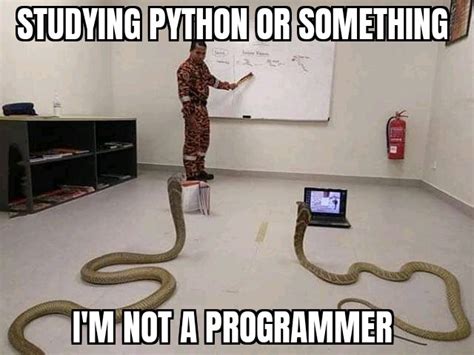 Learning python : r/memes