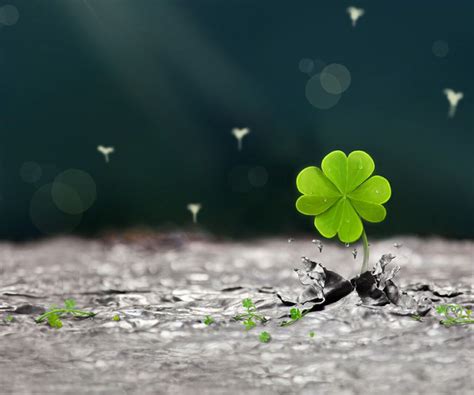 4 Leaf Clover Wallpaper - WallpaperSafari