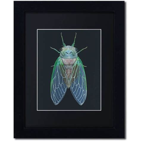 Newborn Cicada Goauche — Otterwell Studio