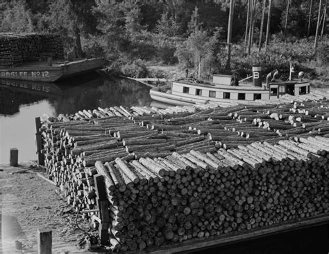 Rare Historical Photos Of old Mobile, Alabama From Early 20th Century