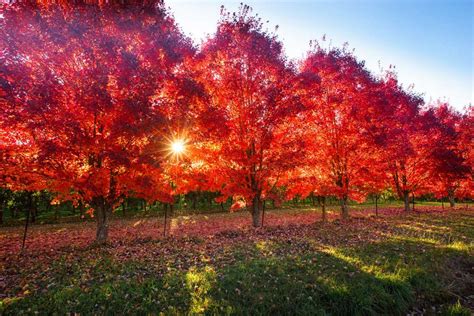 Best places in Australia to visit in autumn