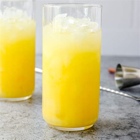 Screwdriver Cocktail Recipe - The Culinary Compass