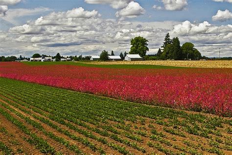 Willamette valley view. | Valley view, Nature, Natural landmarks