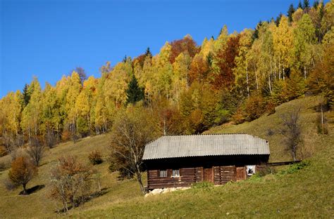 Brown wooden cabin, farm, forest, mountains HD wallpaper | Wallpaper Flare