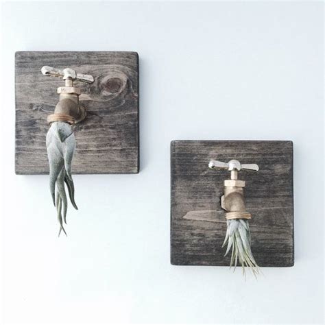 Industrial Air Plant Wall Decor (Set of 2) // Living Art // Air Plant Art // Tillandsia Decor ...