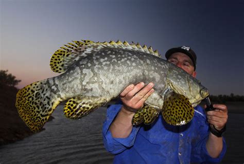 Fishing for big black jewfish around the full moon in Western Australia