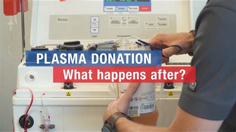 Plasma Donation: Benefits, Guide, Facts - Health Care Reform