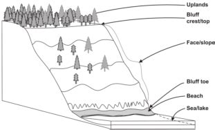 Elements of a bluff (modified from Diagram showing different elements ...