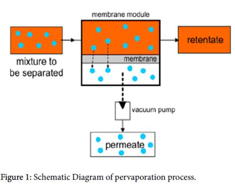 membrane-science-technology-Schematic-Diagram-pervaporation-process