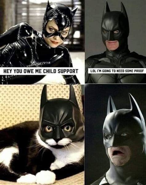 CatBat Support - Meme by RickyAsmussen :) Memedroid